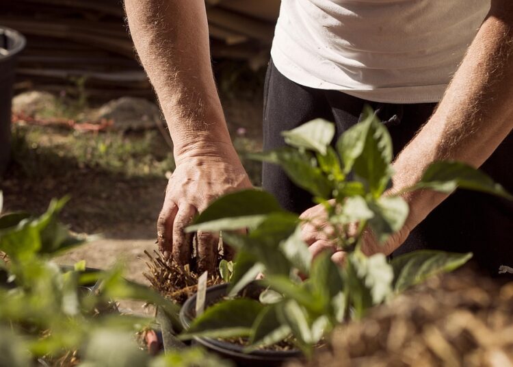 How to Slash Your Kids’ Activity Budget: A Parent’s Guide to Smart Savings How to Slash Your Kids’ Activity Budget: A Parent’s Guide to Smart Savings