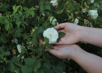 How to Stay Motivated on Your Frugal Journey: A Step-by-Step Guide