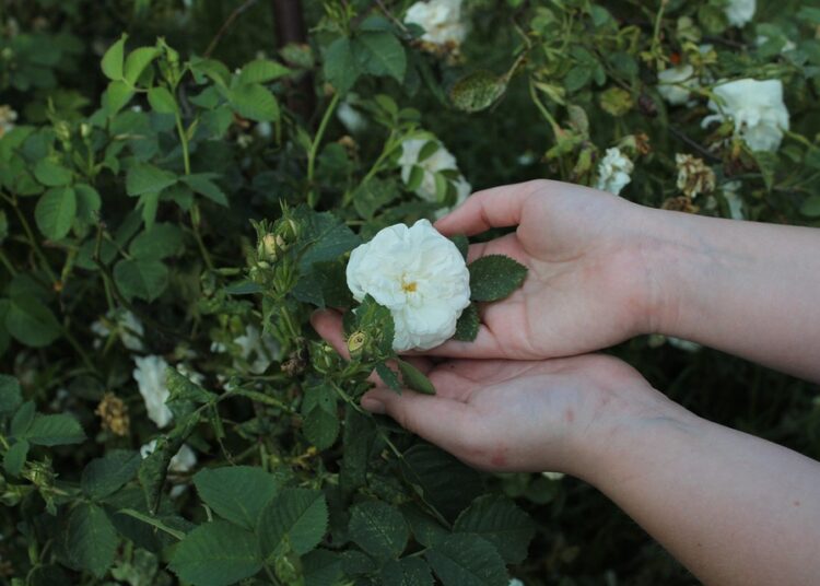 How to Stay Motivated on Your Frugal Journey: A Step-by-Step Guide How to Stay Motivated on Your Frugal Journey: A Step-by-Step Guide