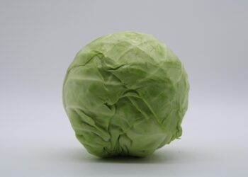 Is Investing with Robo-Advisors Worth It? Understanding the Costs and Benefits