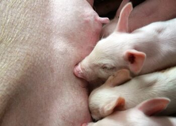 Is Your Credit Score Holding You Back? Here’s How to Improve It!