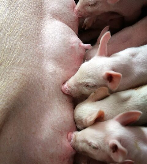 Is Your Credit Score Holding You Back? Here’s How to Improve It!