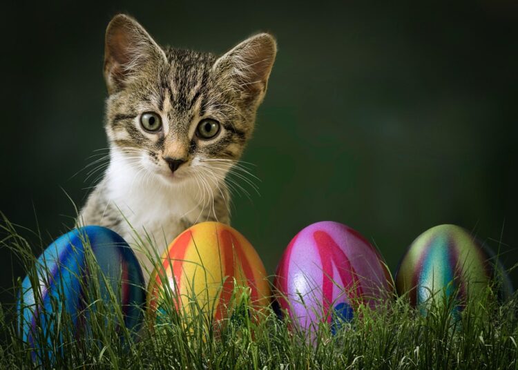 Is Your Family Prepared? Questions to Ask About Your Emergency Fund