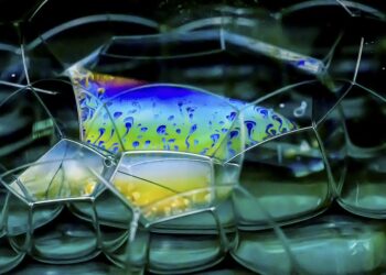 Is Your Investment at Risk? 7 Signs You’re in a Stock Market Bubble