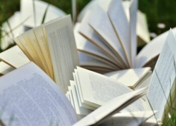 Is a High-Yield Savings Account Right for You? 5 Key Questions to Consider