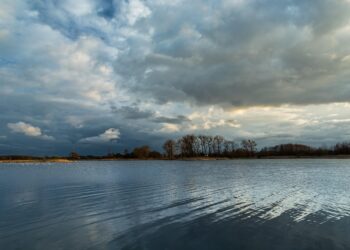 Top 10 Best Crypto Podcasts to Follow in 2023: Gain Insights from Industry Experts