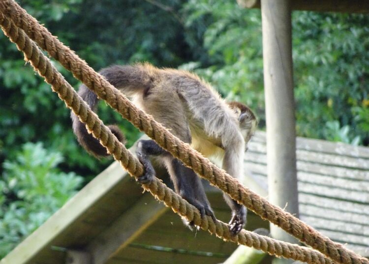 Top 10 ETFs to Own for Steady Growth and Diversification