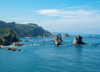 Top 5 Opportunity Costs Everyone Faces: Are You Missing Out?