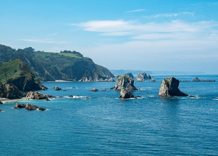 Top 5 Opportunity Costs Everyone Faces: Are You Missing Out?