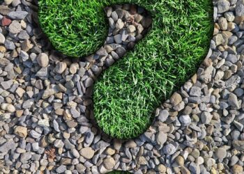 Top 5 Questions to Ask When Searching for a Reputable Credit Counselor