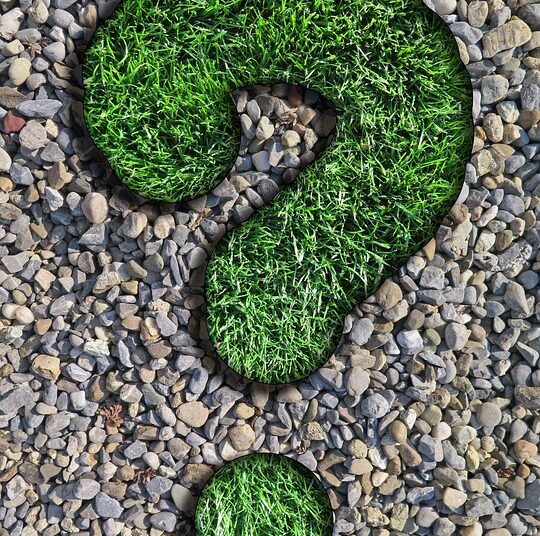 Top 5 Questions to Ask When Searching for a Reputable Credit Counselor