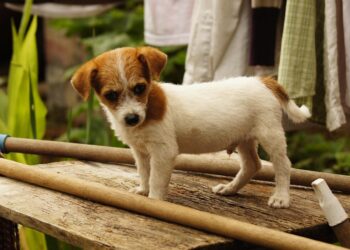 Top 5 Reasons Why Your 401(k) Should Be Included in Your Net Worth Calculation