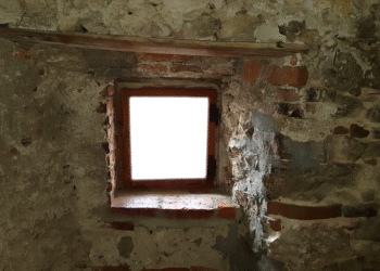 Top 5 Things You Must Know About ETF Prospectuses Before Investing