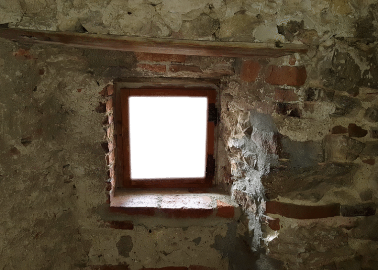 Top 5 Things You Must Know About ETF Prospectuses Before Investing