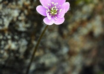 Top 5 Ways Lenders Evaluate Your Credit Score: What You Need to Know Before Applying