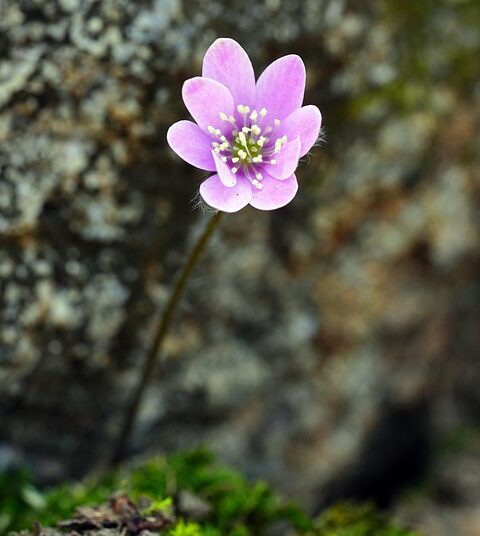 Top 5 Ways Lenders Evaluate Your Credit Score: What You Need to Know Before Applying