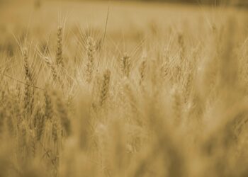 Top 5 Yield Farming Strategies: How to Maximize Your Returns in DeFi