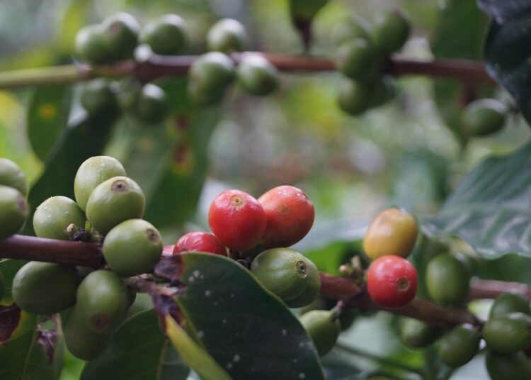 Top 7 High Yield Savings Accounts Without Monthly Fees: Uncovering the Best Options