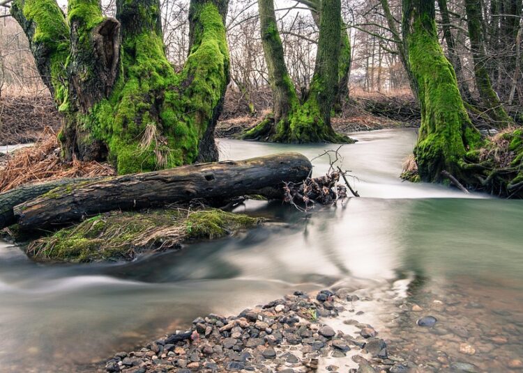 Top 7 Reasons Why Franchises Can Be a Lucrative Passive Income Stream