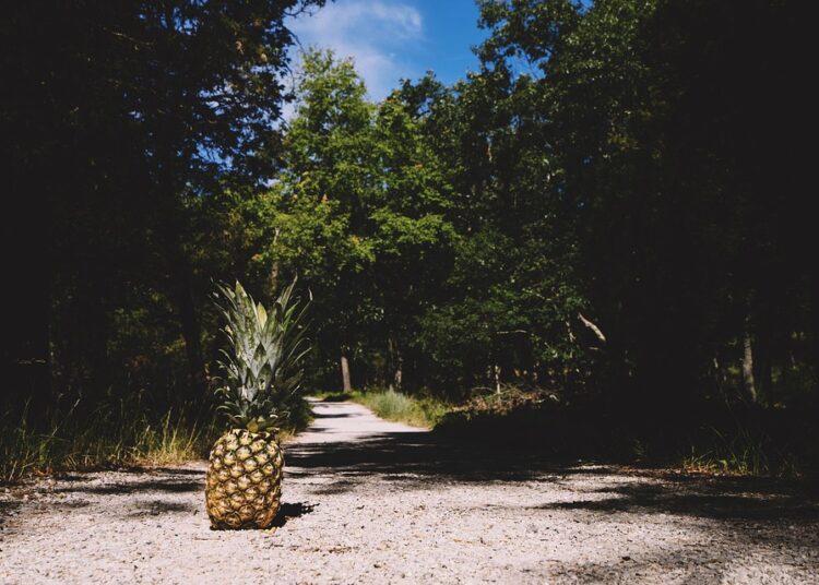 Top 7 Strategies for Finding Good Stocks to Invest In: Maximize Your Returns!