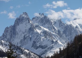 Top 7 Strategies to Secure a Loan Without a Co-Signer: Unlock Your Financial Freedom Today!