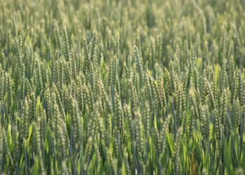 Top 7 Sustainable Banks You Should Consider in 2023