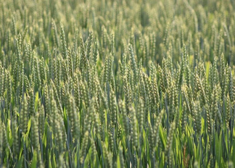 Top 7 Sustainable Banks You Should Consider in 2023 Top 7 Sustainable Banks You Should Consider in 2023