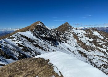 Unlock the secrets to selecting the best robo-advisor for your financial future.