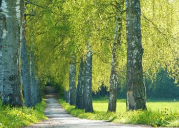 What Are Financial Wellness Goals? 7 Essential Targets for a Secure Future