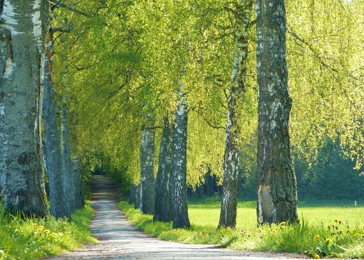 What Are Financial Wellness Goals? 7 Essential Targets for a Secure Future