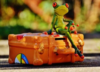 What Are the Best Creative Ways to Fund Your Emergency Fund? Discover Unique Ideas!