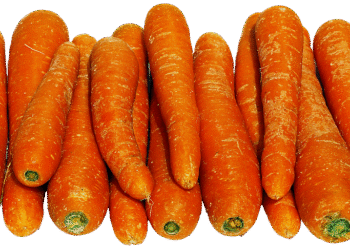 What Is a Stock’s Beta? A Beginner’s Guide to Stock Market Volatility