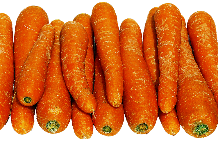 What Is a Stock’s Beta? A Beginner’s Guide to Stock Market Volatility