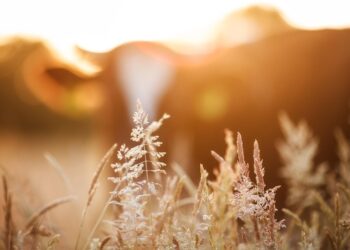 What Is the Opposite of a Frugal Person? Understanding Lavish Spending and Its Impacts