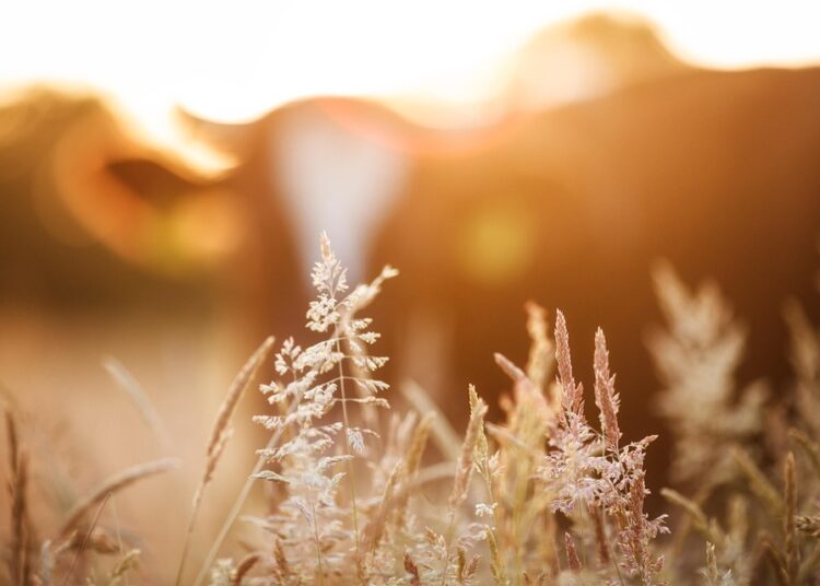 What Is the Opposite of a Frugal Person? Understanding Lavish Spending and Its Impacts What Is the Opposite of a Frugal Person? Understanding Lavish Spending and Its Impacts