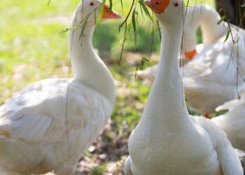 10 Effective Tips on How to Live a Debt-Free Life Without Sacrificing Your Lifestyle