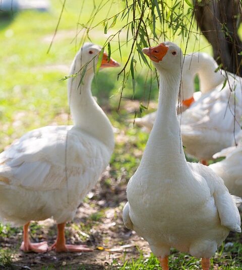 10 Effective Tips on How to Live a Debt-Free Life Without Sacrificing Your Lifestyle