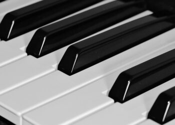 10 Essential Differences Between Private Keys and Public Keys You Need to Know