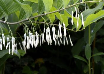 10 Essential Factors That Determine How Much You Need to Retire Comfortably