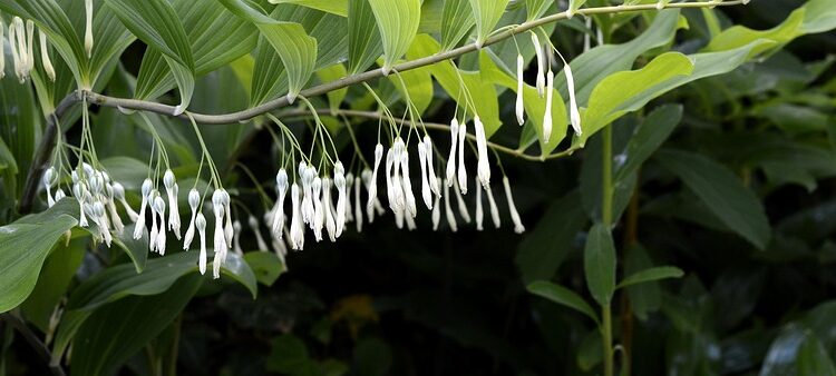 10 Essential Factors That Determine How Much You Need to Retire Comfortably