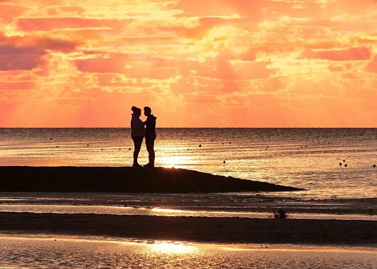 10 Essential Factors That Determine Your Creditworthiness and How to Evaluate Them