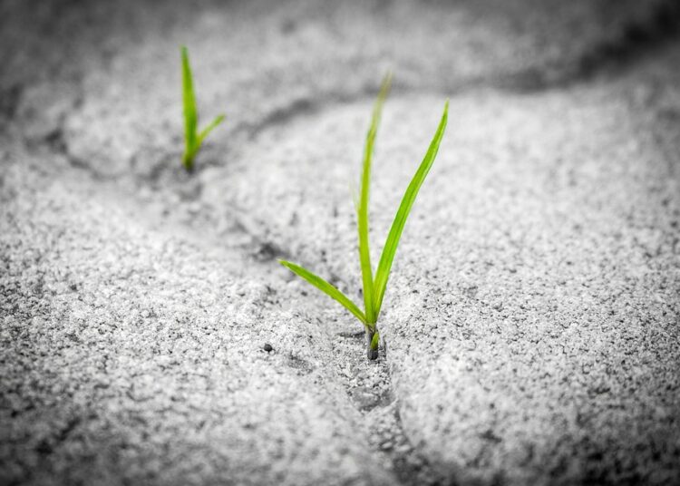 10 Essential Tips for Achieving Financial Resilience in Uncertain Times