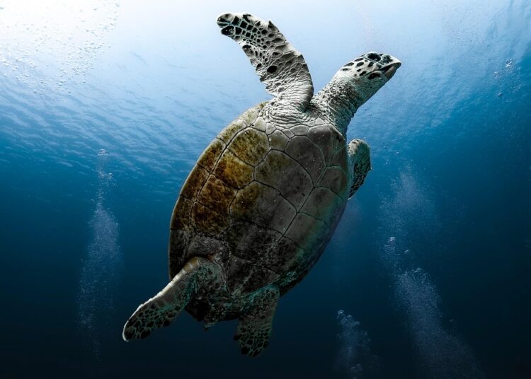 10 Essential Tips for Decluttering Your Financial Life and Boosting Your Savings