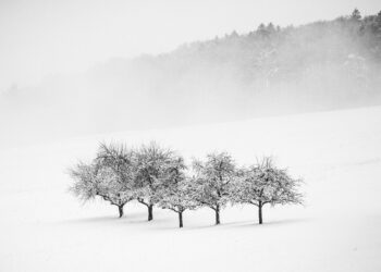 10 Essential Tips for Your First Minimalist Budget: Start Saving Money Today