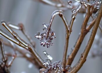 10 Essential Tips for the Best Minimalist Budgeting Approach You Need to Know