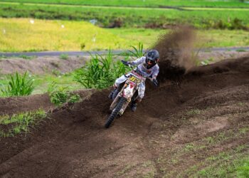 10 Essential Tools to Track Crypto Whale Movements and Boost Your Trading Strategy