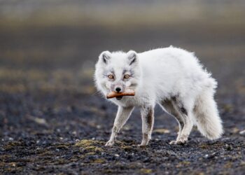 10 Expert Tips on How to Survive a Crypto Winter and Come Out Ahead