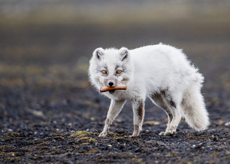 10 Expert Tips on How to Survive a Crypto Winter and Come Out Ahead