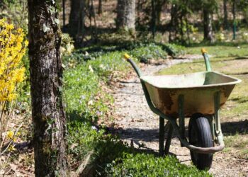 10 Proven Strategies to Stay Motivated on Your Journey to FIRE