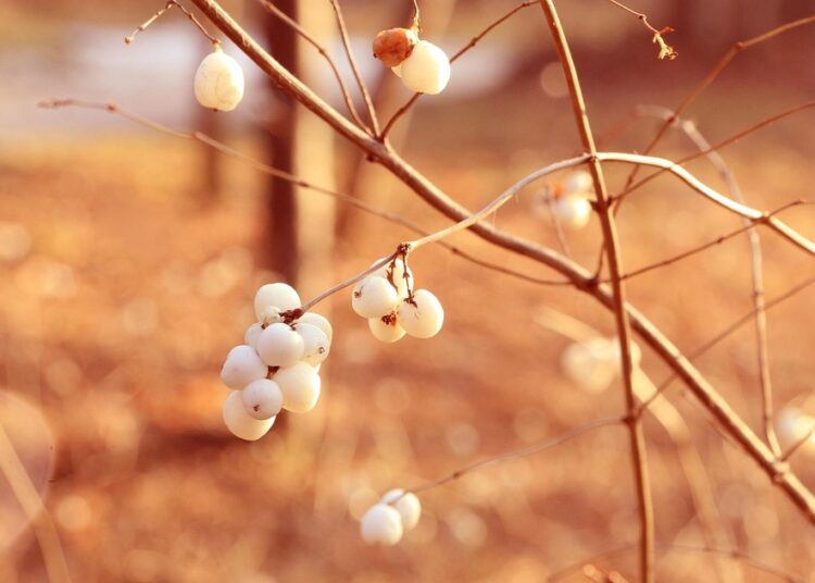 10 Reasons Why the Snowball Method is the Best Strategy for Paying Off Your Debts